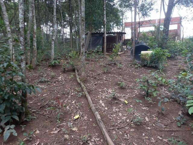 Casa para Venda em Brasília - 4