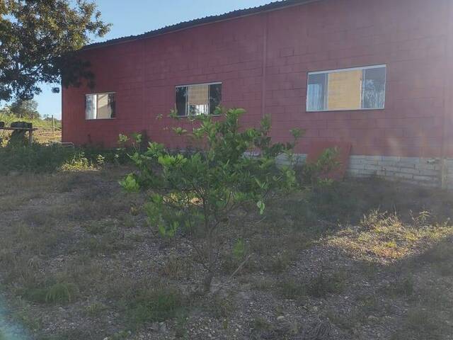 para em - 4