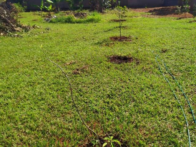 #1126 - Área para Venda em Brasília - DF - 3