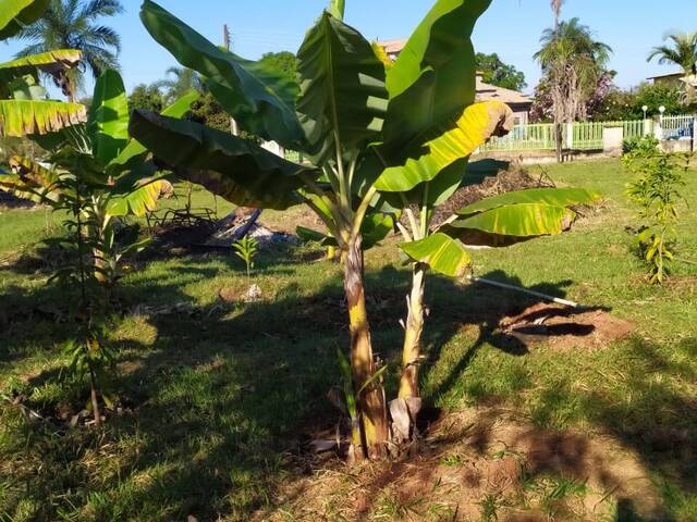 Área para Venda em Brasília - 5