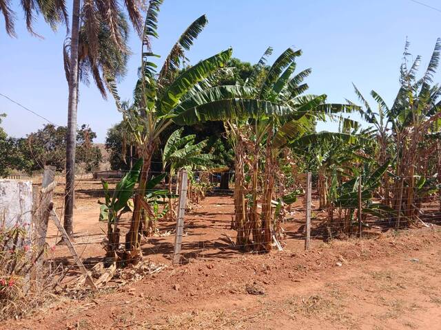 Chácara para Venda em Águas Lindas de Goiás - 5