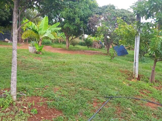 Venda em Área Rural de Planaltina - Planaltina