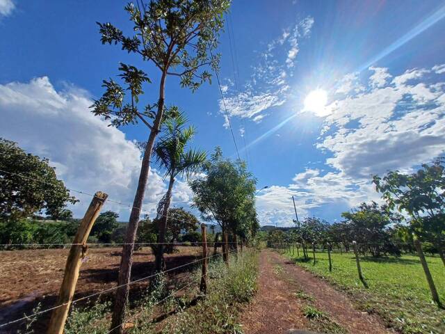 Área para Venda em Ceilandia - 5