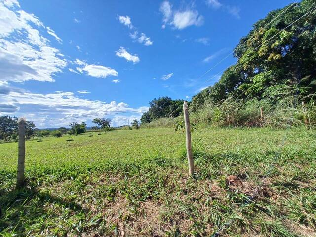 Área para Venda em Ceilandia - 4