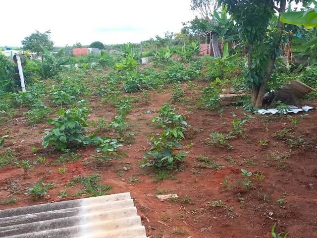 Chácara para Venda em Planaltina - 4