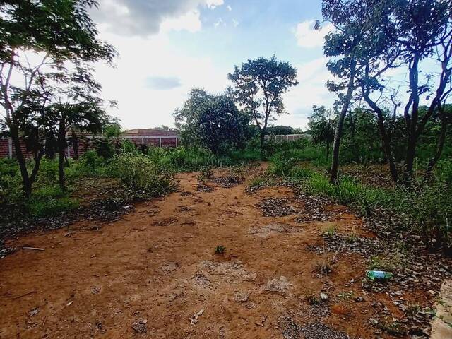 #1351 - Chácara para Venda em Ouro Verde de Goiás - GO - 2