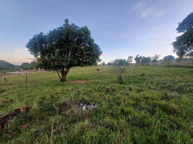 #1352 - Chácara para Venda em Brazlandia - DF - 3