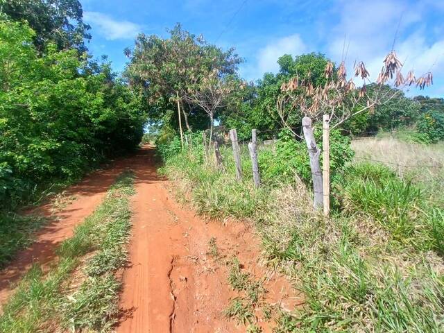 #1468 - Chácara para Venda em Ipameri - GO