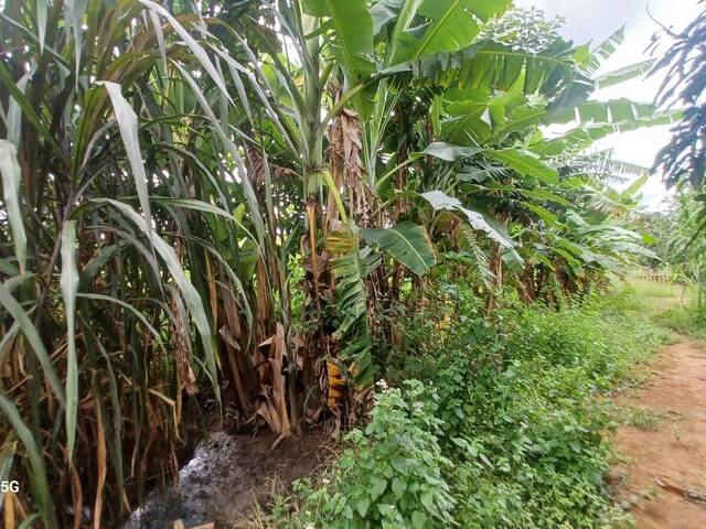 Chácara para Venda em Planaltina - 5