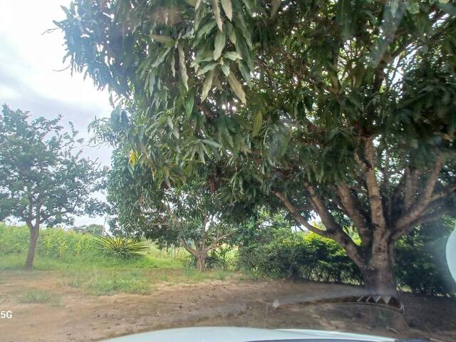 Chácara para Venda em Planaltina - 4