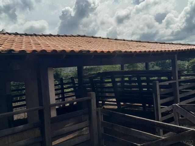 Chácara para Venda em Brasília - 4