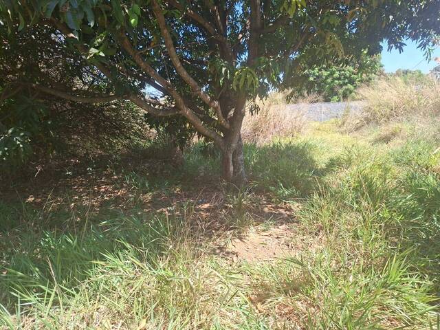 Chácara para Venda em Brasília - 3